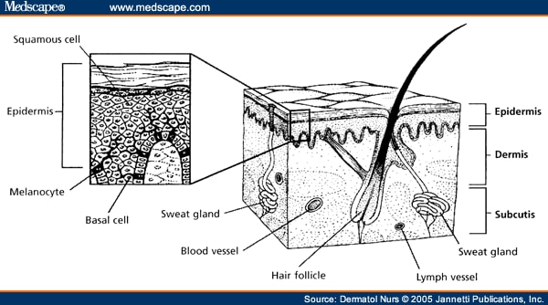 Melanoma: Treatment Guidelines for Patients (Part 1) - Page 3