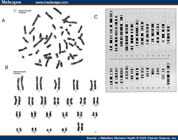 A Primer on Genetic Testing - Page 7