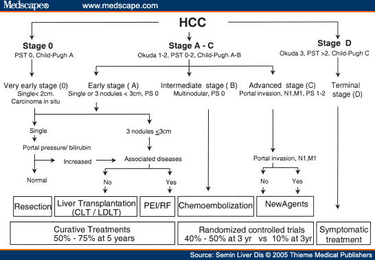 Prognostic Prediction In Patients With Hepatocellular Carcinoma - Page 2