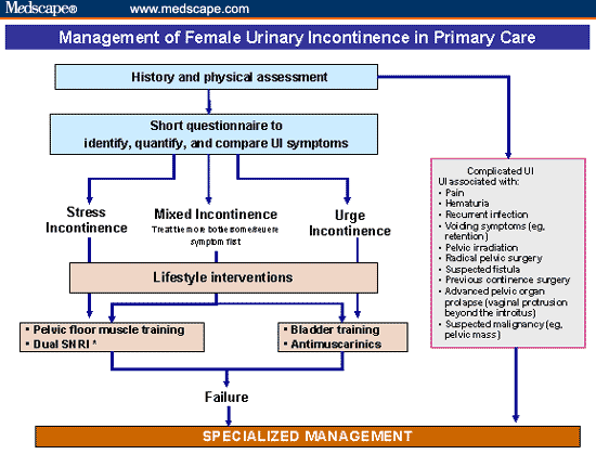 Stress Incontinence Algorithm A Simpler Algorithm for the Management of Women With UI - Page 5