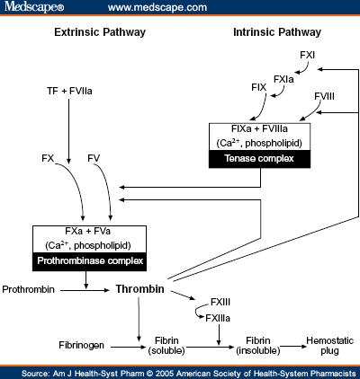 Ximelagatran: An Orally Active Direct Thrombin Inhibitor - Page 2