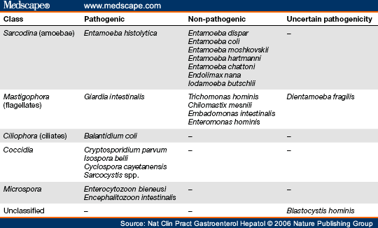 giardiasis management medscape