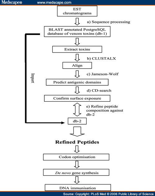 Designer anti-venoms for snake bite - Page 3