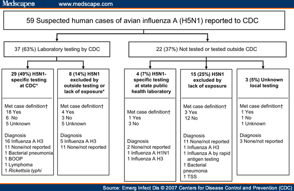 No Evidence Of Avian Influenza A H5n1 Among Returning Us Travelers