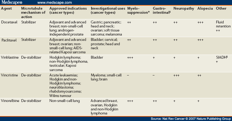 mitotic therapies can we improve on tubulin agents Biology Diagrams