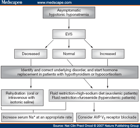 [Case Study] A Case of Hyponatremia Caused by Central Hypocortisolism