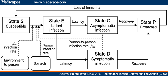 Strategies to Reduce Person-to-Person Transmission during E. coli Outbreak