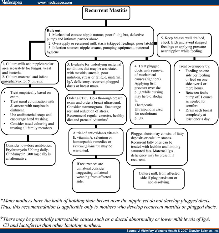 https://img.medscapestatic.com/fullsize/migrated/565/616/jmwh565616.fig3.gif