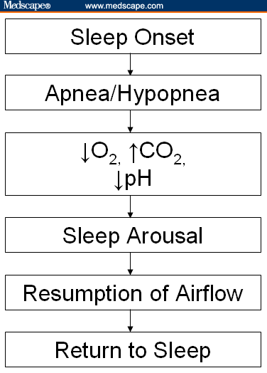 Predicting Obstructive Sleep Apnea - Page 3