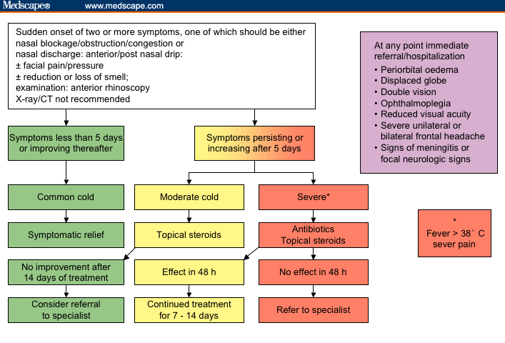 Therapeutic Targets in Rhinosinusitis: Infection or Inflammation?