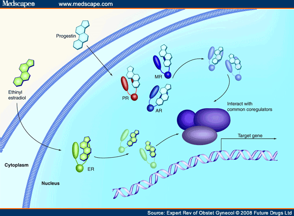 Third-Generation Oral Contraceptives: Future Implications of Current ...