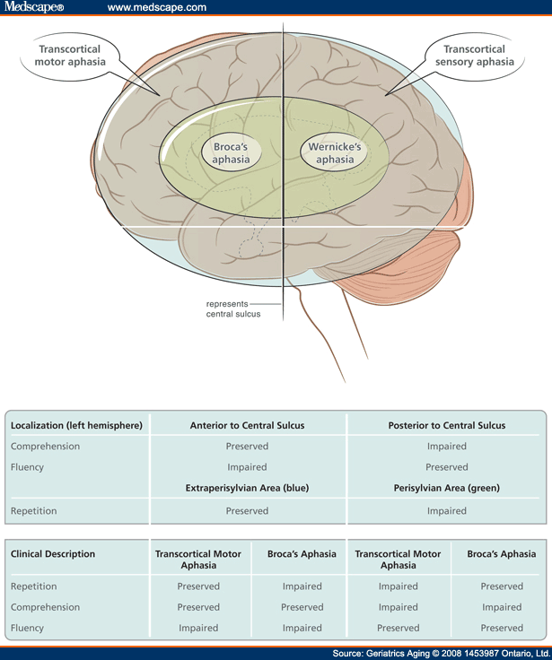 Assessment of Language Function in Dementia