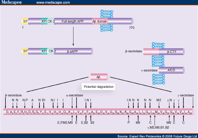 amyloid beta sequence