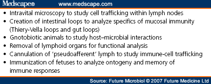 Use of Animal Models in the Development of Human Vaccines