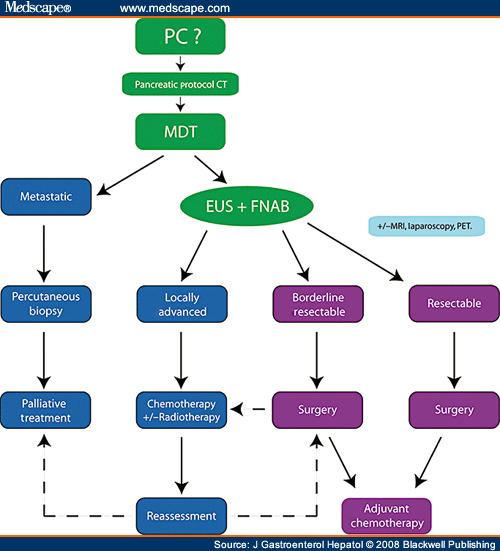 Improving Outcomes For Operable Pancreatic Cancer - Page 3