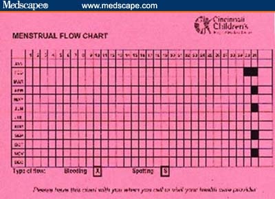 Menstrual Flow Chart