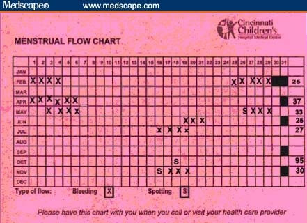 Menstrual Flow Chart