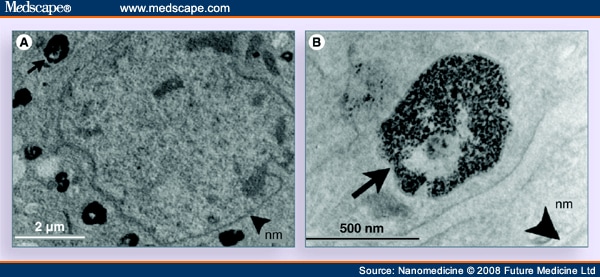 (PDF) Nanotechnology for regenerative medicine 