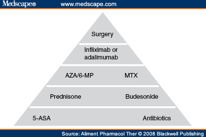 Treatment Algorithms to Maximize Remission in Patients With IBD