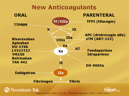  Warfarin and Beyond Evolution of Anticoagulation Therapies Transcript 