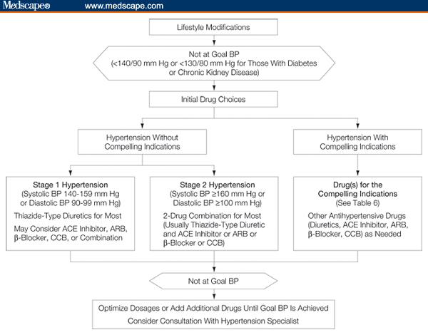 Hypertension And Cardiovascular Risk Factors In African American Patients