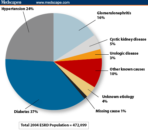 Optimizing Outcomes: The High-Risk Kidney Transplant Recipient