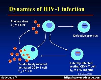 HIV Pathogenesis and Viral Markers pathophysiology of aids hiv diagram 