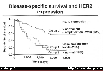 HER2 in Breast Cancer--What Does it Mean?