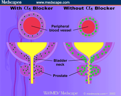 Ivomax medicine