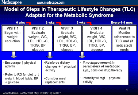The Obesity Epidemic: Prevention and Treatment of the Metabolic Syndrome