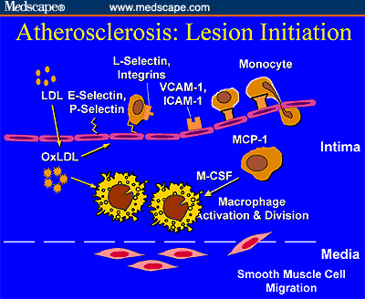 New Tactics, New Targets: The Changing Landscape of Dyslipidemia ...