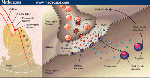 Migraine Headaches and Allodynia Early Use of Triptans to