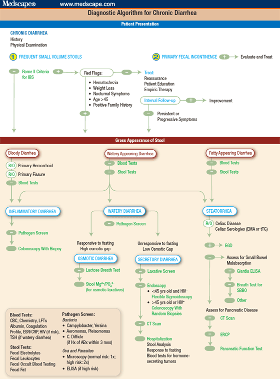 An Algorithm for the Evaluation of Flank Pain with