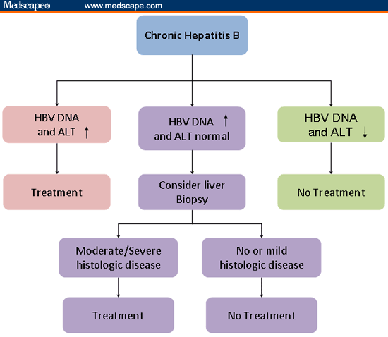 hepatitis b treatment algorithm