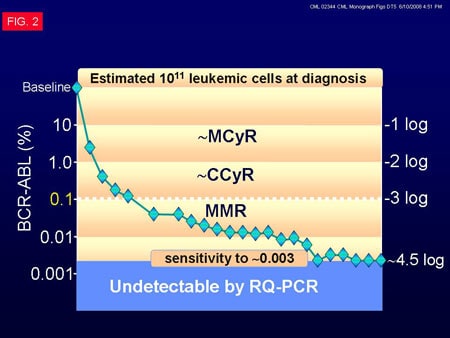 Resistance Mechanisms, BCR-ABL Mutations, and Monitoring Response to CML Tx