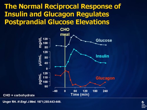 Type 2 Diabetes: The Pathophysiologic Basis of Treatment Design