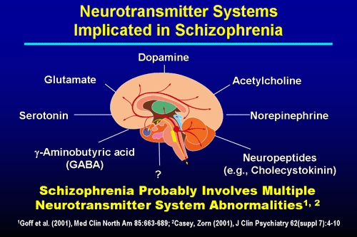 Diagnostic Challenges of Schizophrenia Versus Schizoaffective Disorder