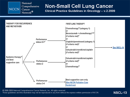 2009 Updates to NCCN Non-Small Cell Lung Cancer Guidelines-Slide/Transcript