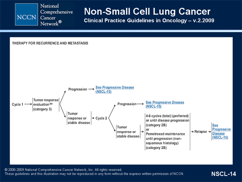 2009 Updates to NCCN Non-Small Cell Lung Cancer Guidelines-Slide/Transcript