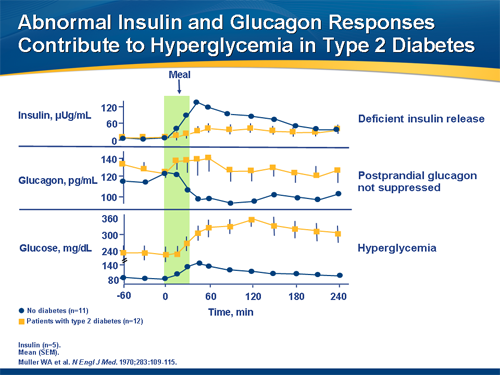 Diabetes Dialogues: Expert Review of Optimal Diabetes Management-Transcript