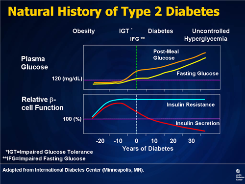 Type 2 Diabetes: Understanding the Etiology