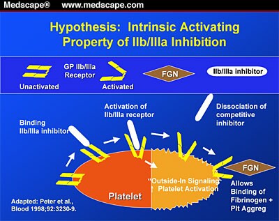 The Success and Failure of Glycoprotein IIb/IIIa Receptor Blockers and...