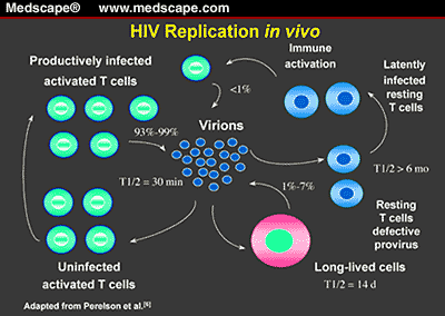 Viral Factors in HIV Disease