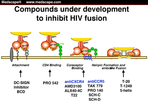 E-Inhibition: HIV Entry Inhibitors