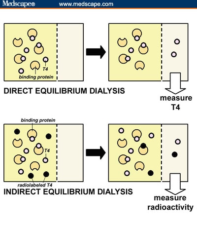 Standardization of Endocrine Testing: A Report From the 2006 AACC Meeting