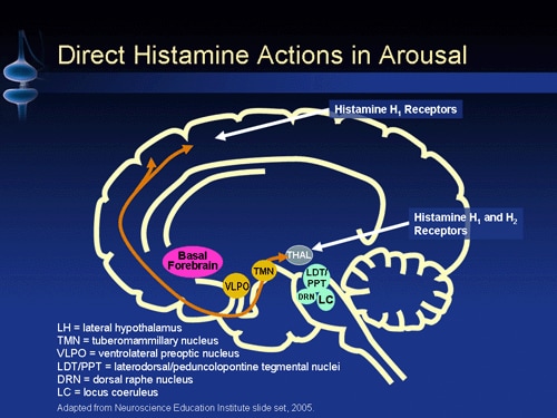system mechanic 15 activation key system mechanic 15 activation key