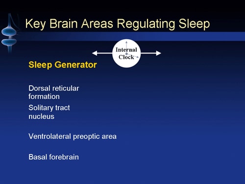 Histamine System Neurobiology: Key Regulator of Sleep-Wake Fx (Transcript)