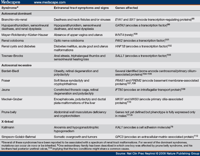 Renal Tract Malformations: Perspectives for Nephrologists