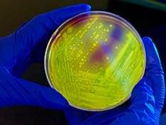 Landmark CDC Report Details Threat of 'Postantibiotic Era'