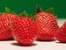 Berry-Rich Diet Credited With One-Third Drop in MI Risk